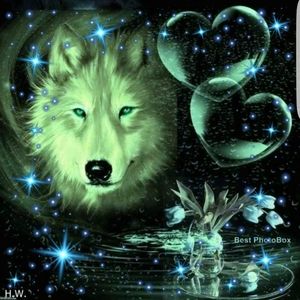 Meet your Posher, Raven